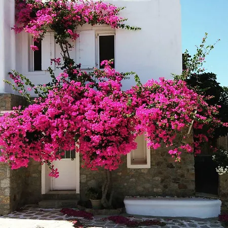 Hotel Panormos Village Seaside 4*